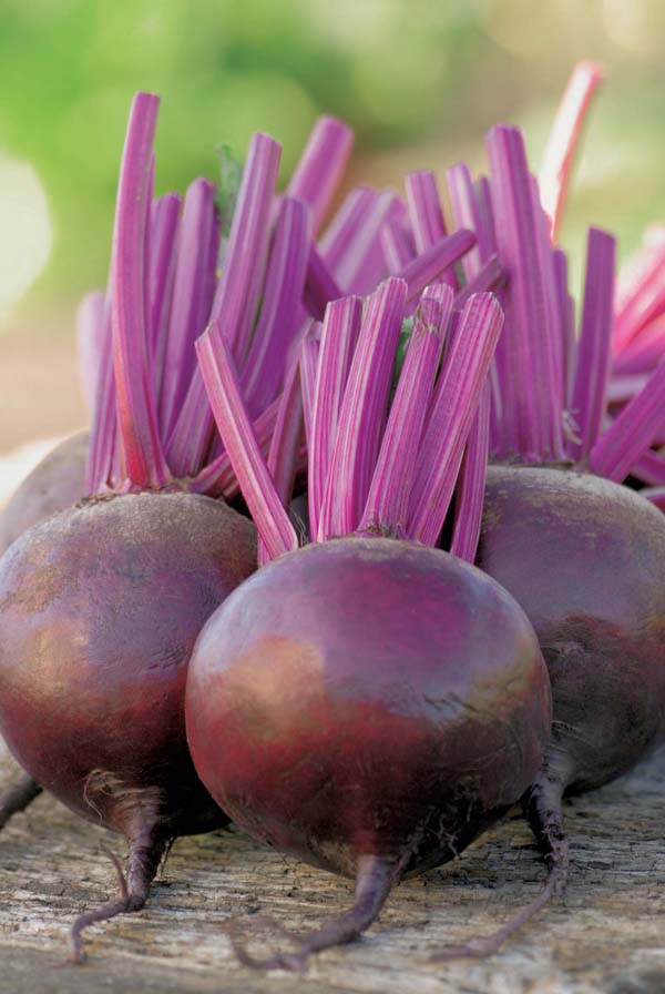 Product showcase image from staged upload