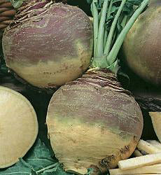 Koolrapen Best of All