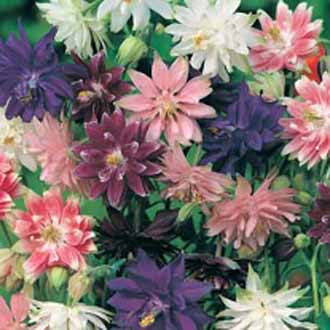 Product showcase image from staged upload