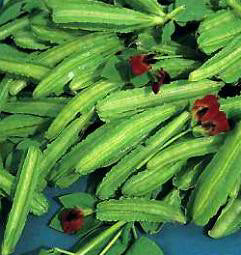 Asperge Erwt