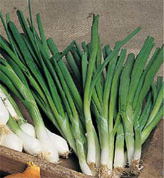 Product showcase image from staged upload