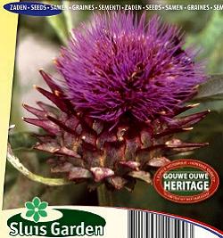 Kardoen overblijvend Artichaut BIO