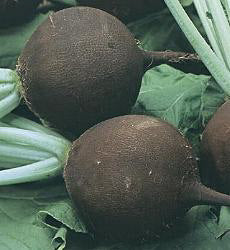 Rammenas Ronde Zwarte