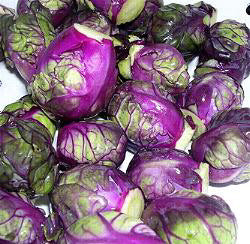 Spruitkool rode Rubine