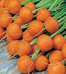 Wortelen Paris Market 5 - Atlas