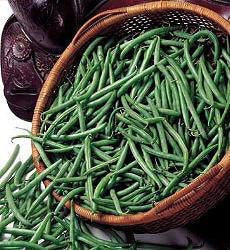 Bonen Stamsla Prelude