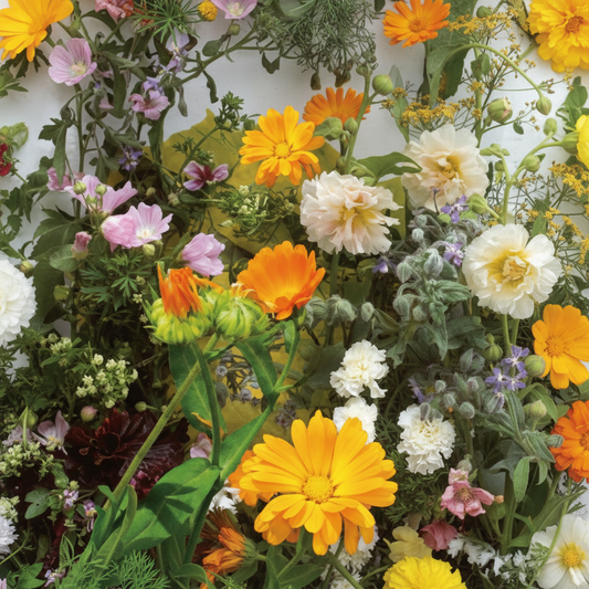 Salade mix van Eetbare Bloemen en Kruiden