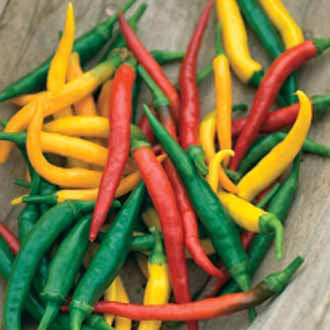 Product showcase image from staged upload