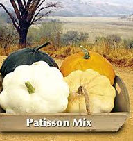 Courgette Patisson Mix
