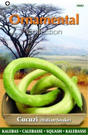 Kalebas Cucuzi Italiaanse Slang