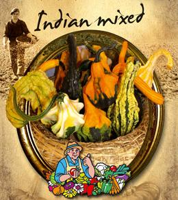 Kalebas Indian Mixed