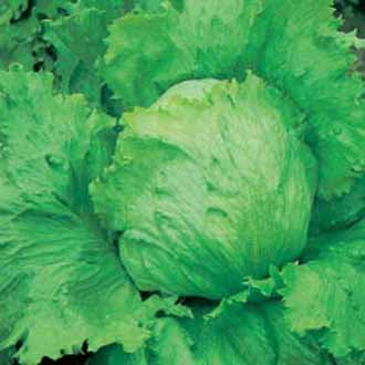 Product showcase image from staged upload