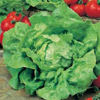 Product showcase image from staged upload