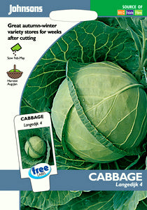 Product showcase image from staged upload